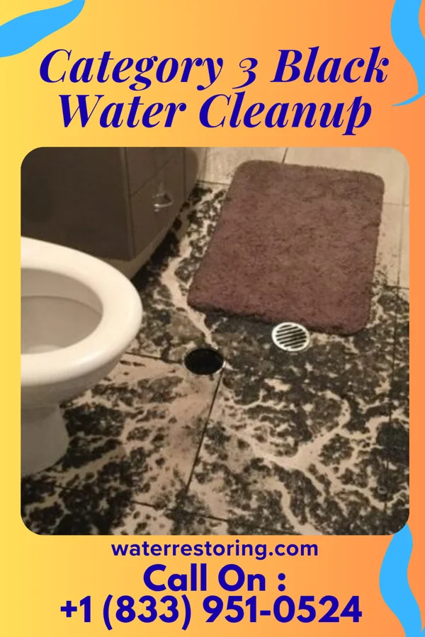 Category 3 Black Water Cleanup in Trafford, PA