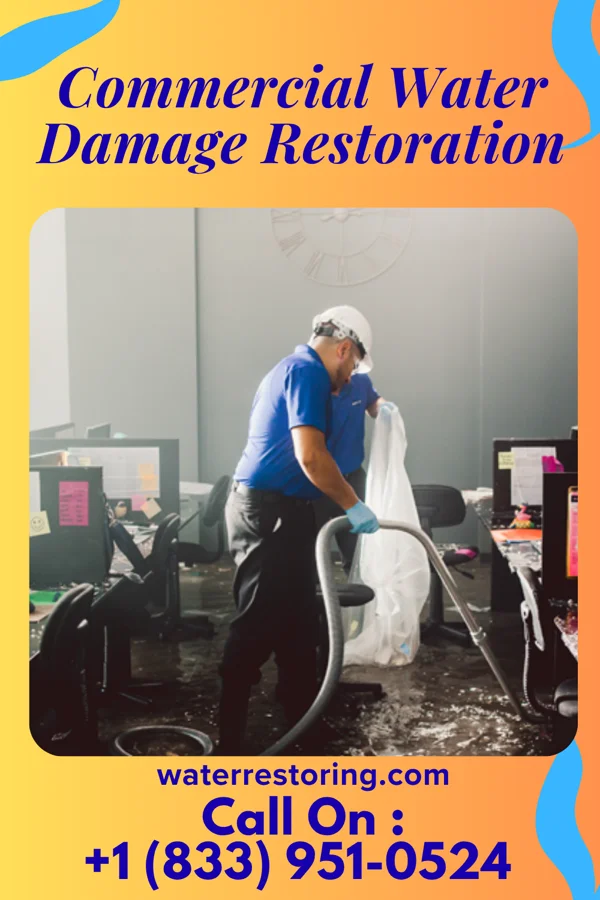 Commercial Water Damage Restoration in Trafford, PA