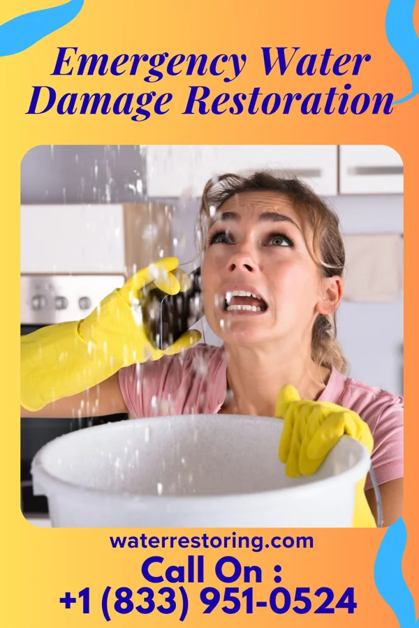 Emergency Water Damage Restoration in Trafford, PA