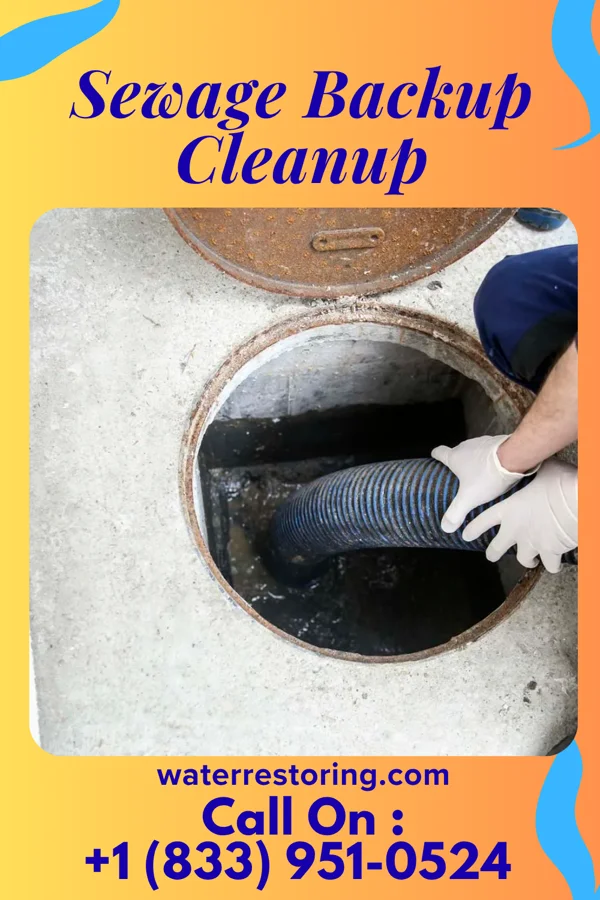 Sewage Backup Cleanup in Trafford, PA