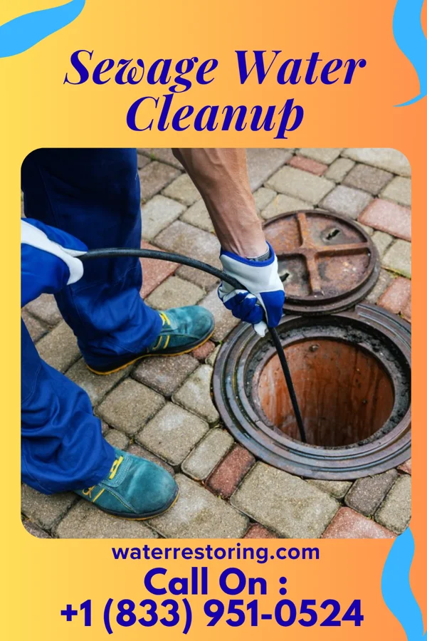 Sewage Water Cleanup in Trafford, PA